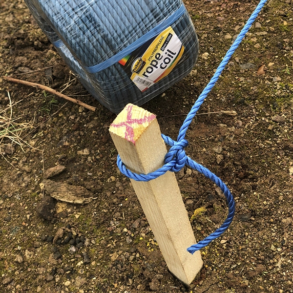 25 x Wooden Marking Out Stakes / Pegs