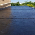 Flag Roofix 20/10 Roof Repair Waterproofing Paint