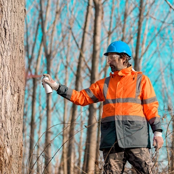 Tree Marking Paint