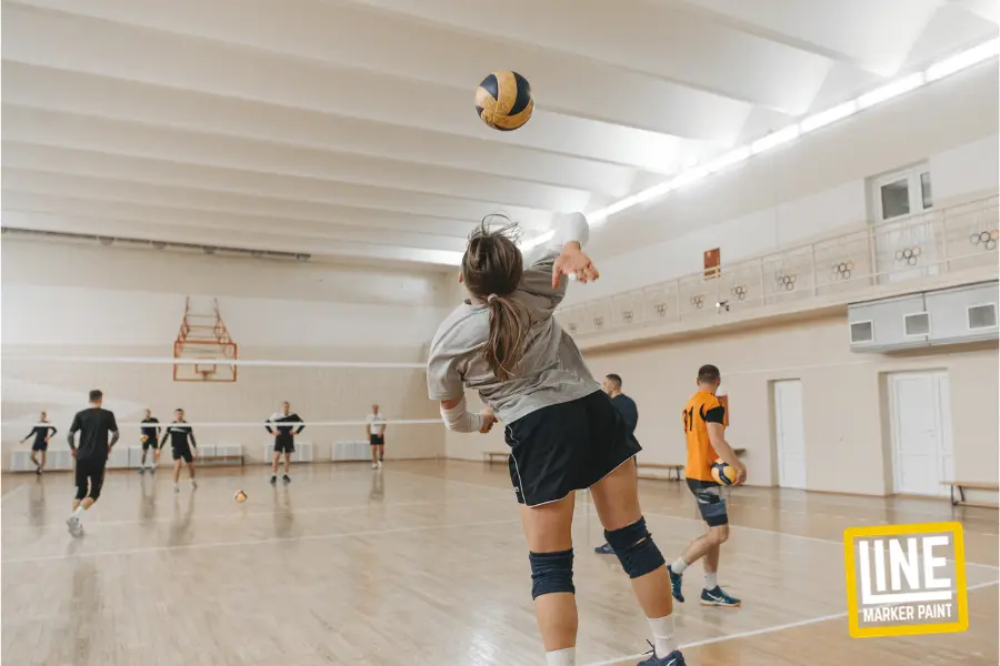 Volleyball players on a volleyball court